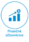 Icon_SK_Financial_accounting